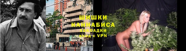 мдпв Липки
