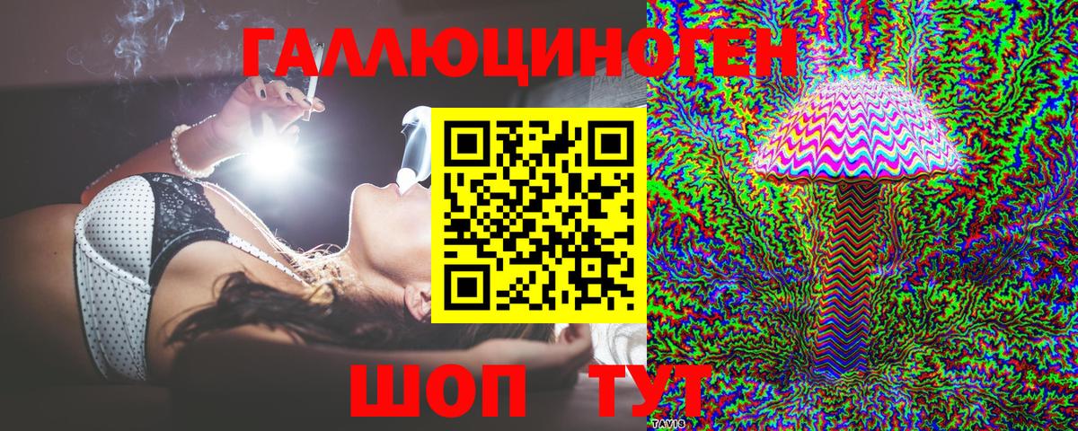 Галлюциногенные грибы Psilocybe Унеча