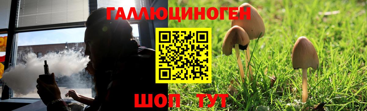 Унеча  Галлюциногенные грибы Magic Shrooms  Вход с VPN  Галлюциногенные грибы прущие грибы 